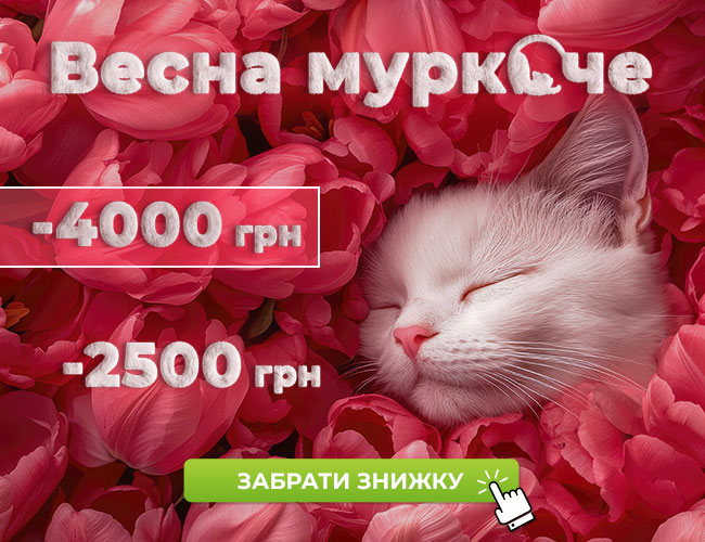 Національна сертифікація кадровиків — 2025