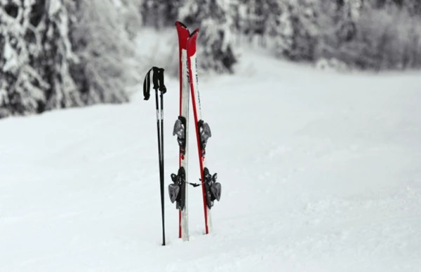 Работник отказывается уходить в отпуск и требует предоставить ему денежную компенсацию: действия кадровика