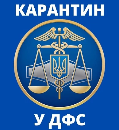 Як організувати роботу держоргану під час карантину: досвід ДФС Як організувати роботу держоргану під час карантину: досвід ДФС