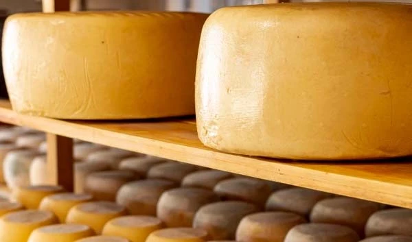 Роботодавець невчасно виплачував заробітну плату працівникам-громадянам з Вірменії