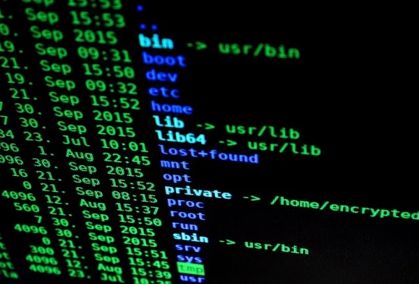 Попередьте працівників про нові кібератаки задля викрадення даних Попередьте працівників про нові кібератаки задля викрадення даних