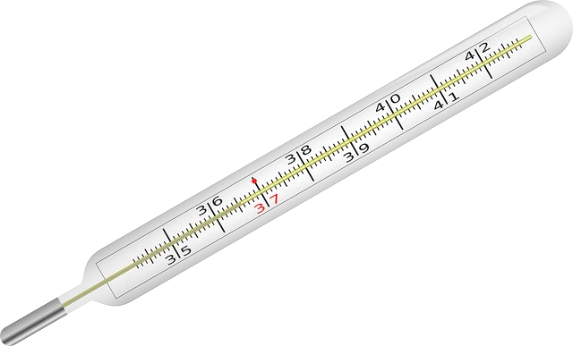 Як обчислити страховий стаж для лікарняного