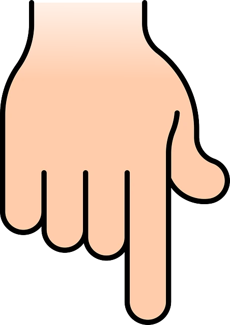 Система «Експертус Кадри» святкує День народження