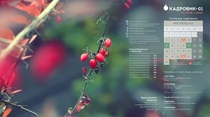 Виробничий календар: листопад 2020