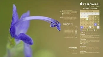 виробничий календар на серпень 2019