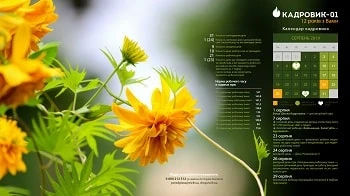 календар кадровика на серпень 2019