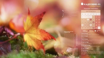 календар кадровика листопад 2019
