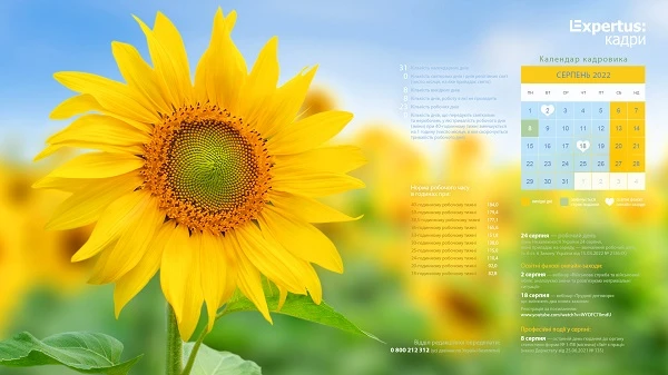 виробничий календар на серпень 2022 рік